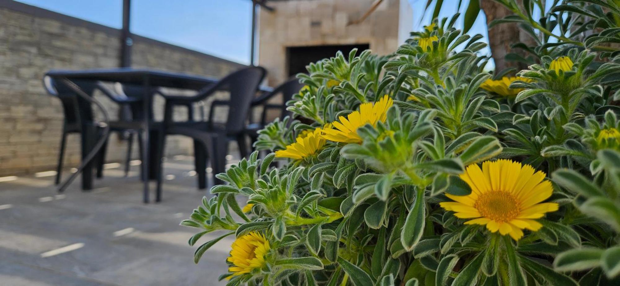 Villa Silver ستاريغغاد باكلينتسا الغرفة الصورة